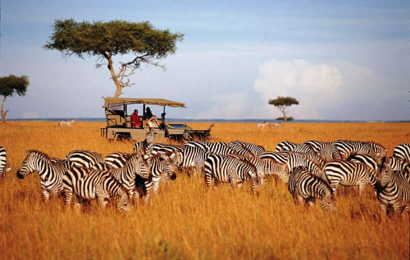 13 Days Safari Tanzania and Zanzibar Holiday